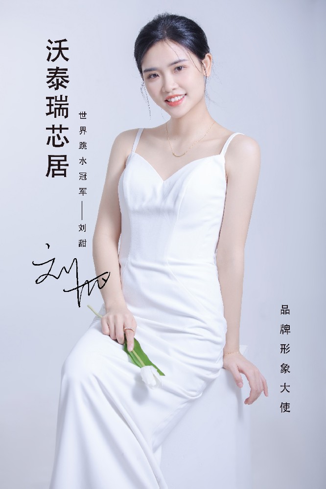 沃泰瑞芯居石膏板